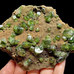 May include: A natural mineral specimen featuring numerous vibrant green crystals clustered on a brown matrix. The crystals exhibit a glassy luster and various sizes, creating a visually appealing display. The overall composition showcases the beauty of natural formations.