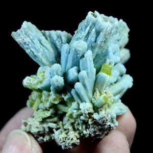 May include: A cluster of blue and green crystals with a rough, natural texture. The crystals are arranged in a starburst pattern, with the blue crystals being the most prominent. The green crystals are smaller and more scattered.