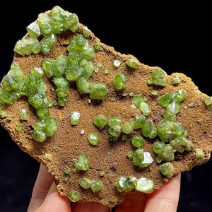 May include: A natural mineral specimen featuring vibrant green crystals clustered on a brown matrix. The crystals vary in size and shape, creating a textured appearance. The background is a solid black.