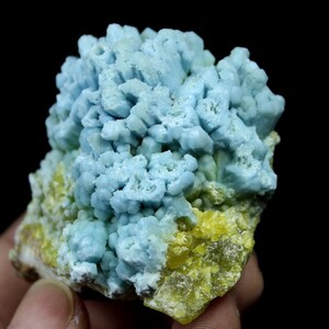May include: A cluster of blue and yellow mineral crystals. The blue crystals are clustered together in a rounded shape, while the yellow crystals are scattered around the base. The crystals are translucent and have a glassy luster.