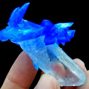 May include: A cluster of bright blue crystals atop a clear, elongated crystal. The crystals are sharp and have a glassy appearance.