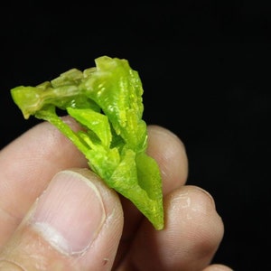 May include: A green crystal formation with a unique, organic shape. The crystal is translucent and has a slightly yellow hue.