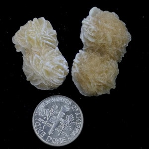 2pcs=USD6.99, Pair of PEANUT-LIKE Desert Rose, Selenite nodule, Natural Mineral Specimen
