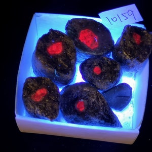 May include: A white box with a blue light shining on the bottom. Inside the box are eight dark red and black stones with a red center. The box has a white label with the number 9511 written on it.