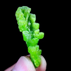 May include: A vibrant green crystal cluster with a unique, branching formation. The crystal is translucent and has a glassy luster.