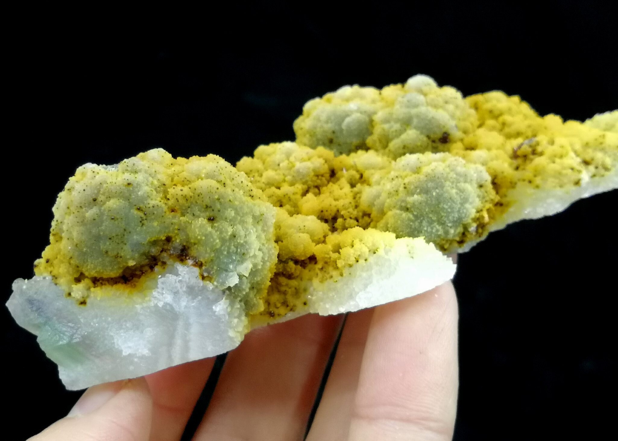 105mm 92g Unusual CoralReefLike Drusy Quartz & Quartz Etsy