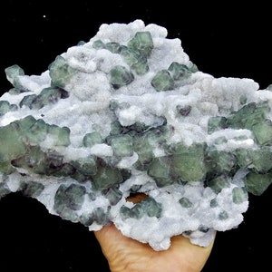 May include: A large cluster of green fluorite crystals with a white matrix. The crystals are well-formed and have a glassy lustre.