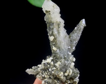 Cuarzo esquelético inusual de 71 mm con magnetita negra y dolomita blanca, espécimen mineral natural de Mongolia Interior, China B9974