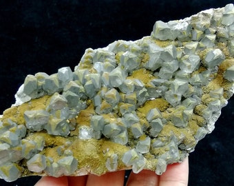 150mm 315g 'Mercedes-Benz' Logo Like Golden Chalcopyrite coat and included by Calcite Mineral Specimen China B6970