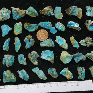 Peut inclure: Une collection de 40 pierres turquoise, de tailles et de formes variées, de couleur bleu-vert et de matrice brune. Un centime d'euro est inclus pour l'échelle.