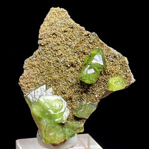 Pode incluir: Um espécime mineral com uma matriz de pequenos cristais castanho-dourados. Vários cristais translúcidos verde-lima vibrantes estão embutidos na matriz. O espécime é montado numa base branca sobre um fundo preto.