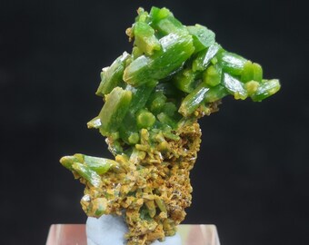 25 mm 良質グリーンパイロモルファイト、中国産天然鉱物標本