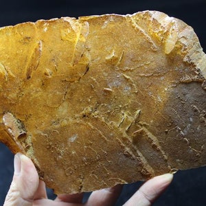325g  180mm GIANT Calcite crystal blade with brown Hematite coating, Natural Mineral Specimen from China CM541292