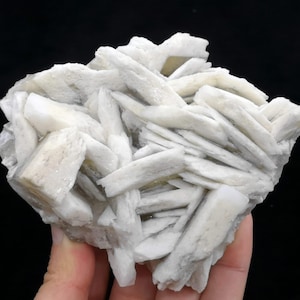 May include: A cluster of white barite crystals with a layered, bladed structure. The crystals are translucent and have a slightly pearly lustre.