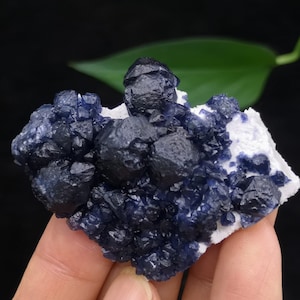 54mm Indigo Blue Fluorite on white Quartz 100% NATURAL Mineral Specimen China CM2340482