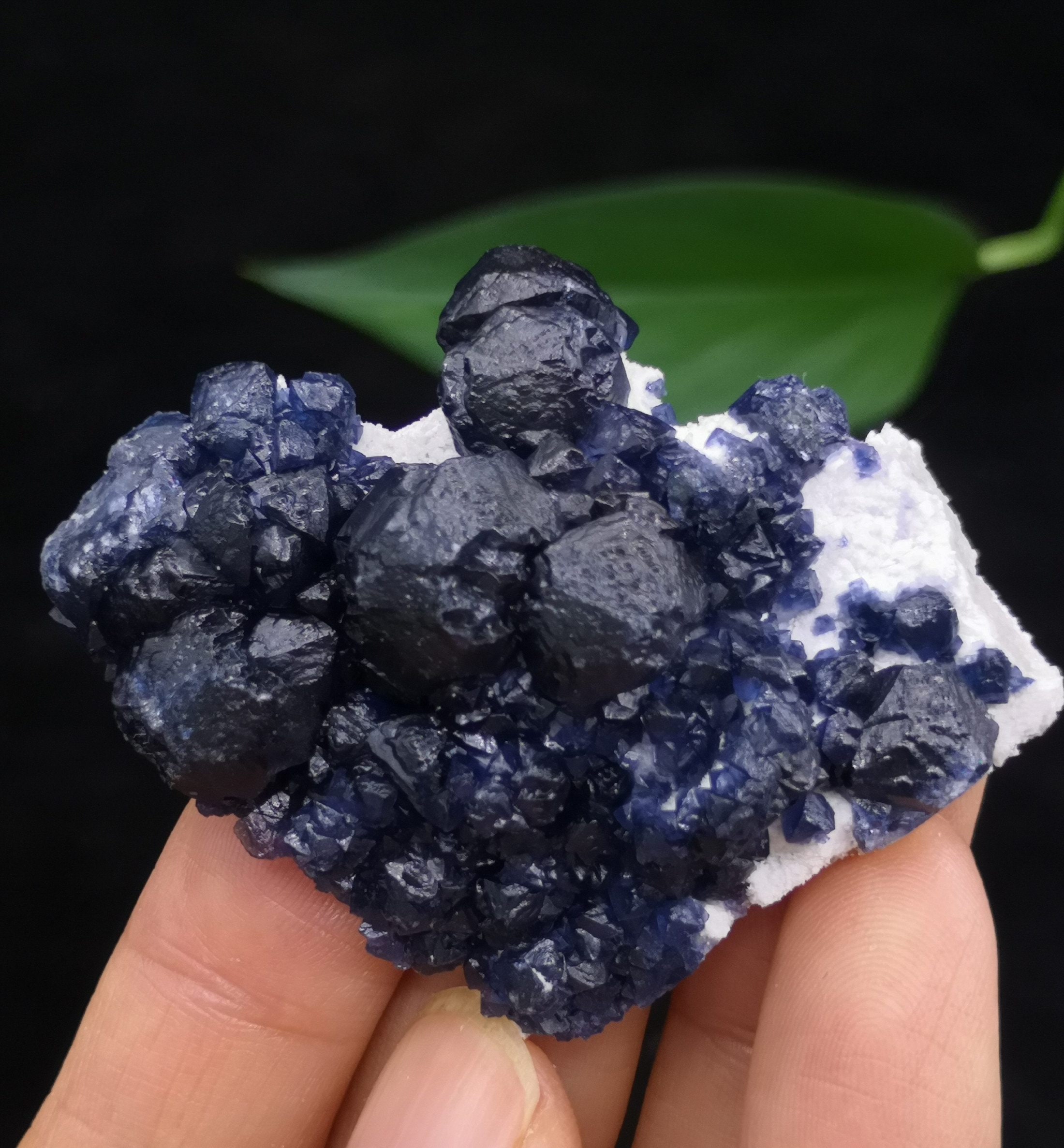 54mm Indigo Blue Fluorite on White Quartz 100% NATURAL Mineral