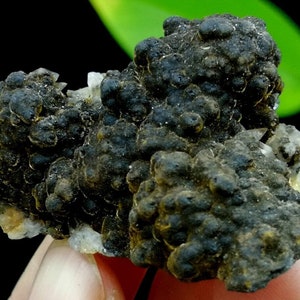 May include: A cluster of dark brown botryoidal goethite with a rough, textured surface. The goethite is surrounded by small, white, crystalline quartz.