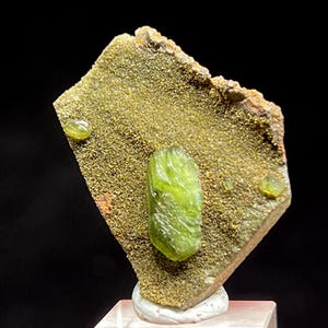 Pode incluir: Um espécime mineral natural com um grande cristal verde vibrante embutido em uma matriz de material marrom dourado. O espécime é montado em uma base branca, mostrando sua textura e variações de cor únicas.