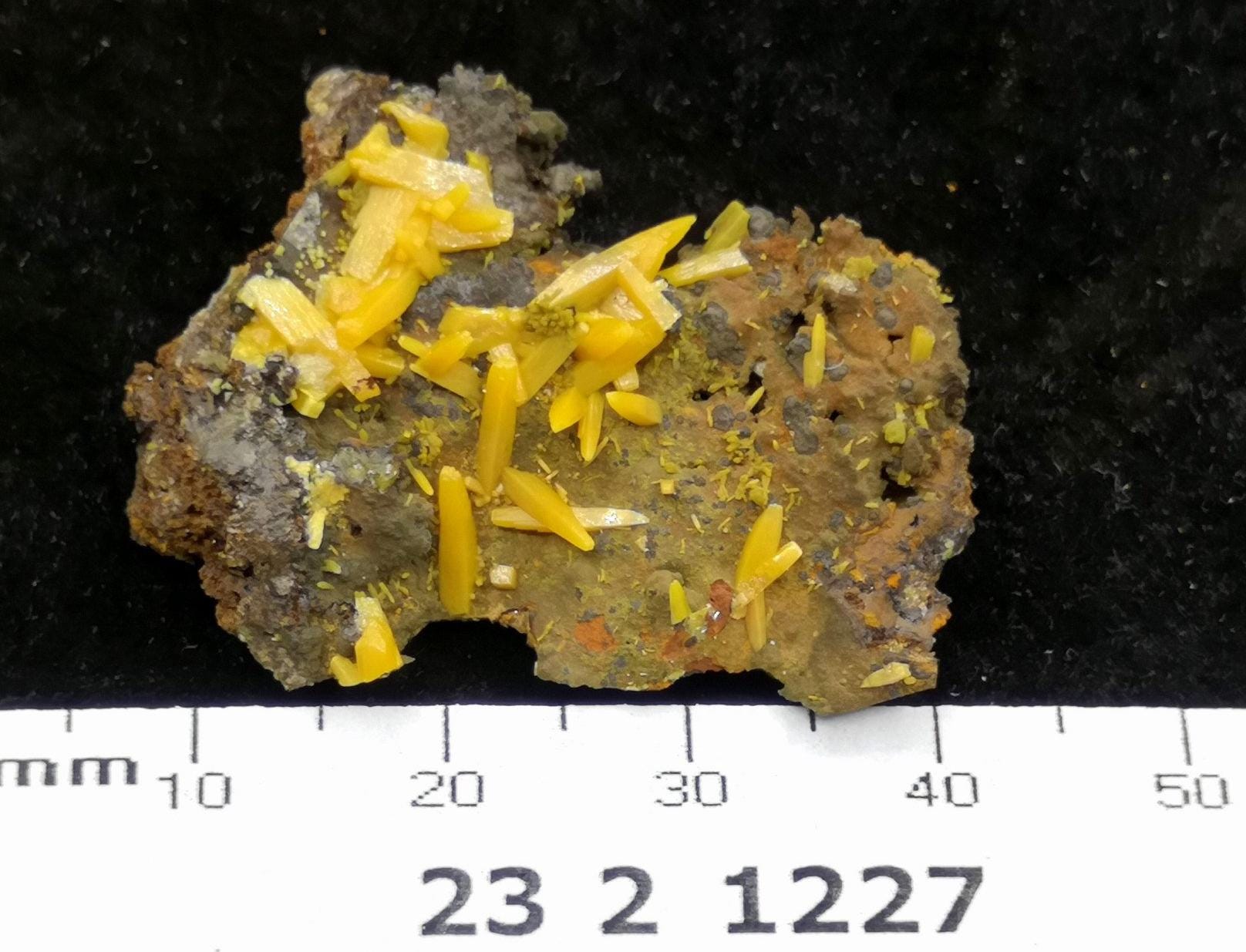 35 mm オレンジウルフェナイト（母岩付き）、メキシコ産天然鉱物標本