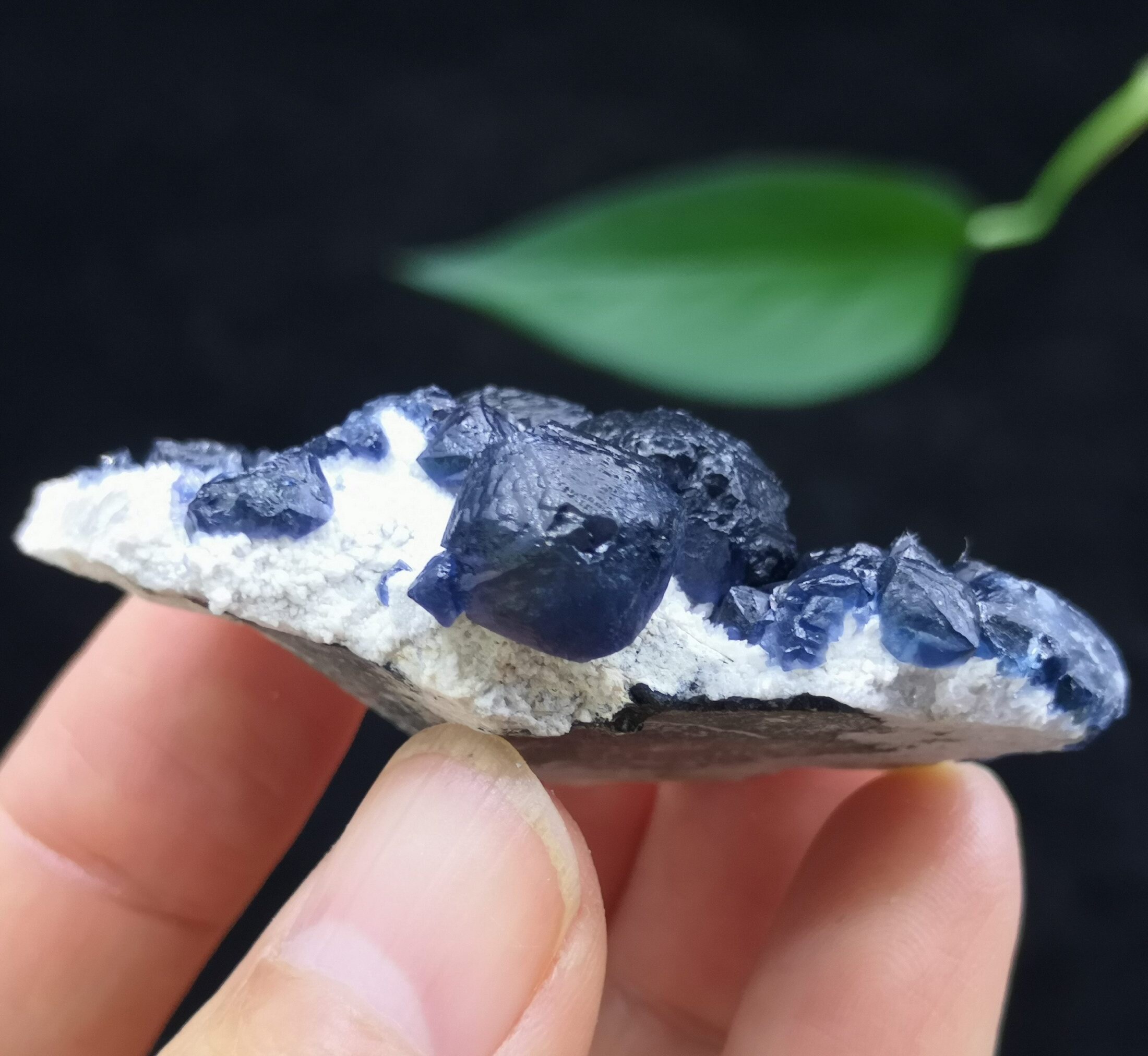 54mm Indigo Blue Fluorite on White Quartz 100% NATURAL Mineral