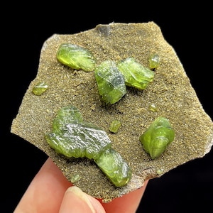 May include: A close-up of a mineral specimen featuring several translucent, lime-green crystals embedded in a rough, golden-brown matrix. The crystals vary in size and shape, with a few smaller, detached pieces scattered around.