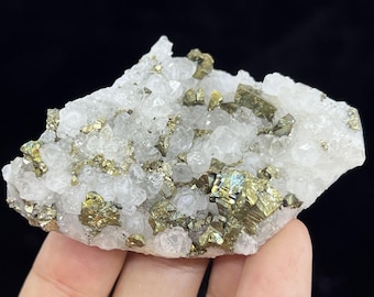 May include: A raw mineral specimen featuring a cluster of translucent, white crystalline structures interspersed with metallic, brass-colored cubic pyrite formations. The geological formation displays a jagged, irregular surface texture.