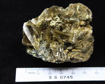 175g 菱鉄鉱上のよく形成された光沢のある金色の黄銅鉱鉱物標本 中国