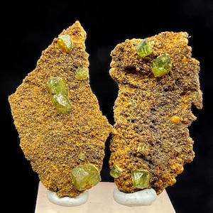 May include: Two mineral specimens featuring a rough, textured, golden-brown matrix. Embedded within the matrix are several translucent, light green crystals. The specimens are displayed on white bases against a dark background. The crystals have a glassy appearance.
