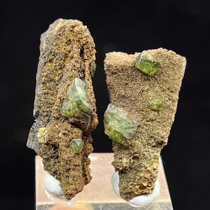 May include: Two mineral specimens featuring olive-green crystals embedded in a rough, brown matrix. The crystals have a translucent appearance, and the matrix has a textured, earthy look. The specimens are displayed on small, white bases.