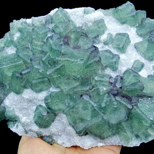May include: A cluster of green fluorite crystals with purple inclusions on a white matrix. The crystals are cubic in shape and have a glassy lustre.