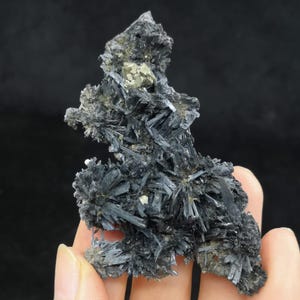 Może przedstawiać: Gromada czarnych, igiełkowatych kryształów z małym, metalicznym złotym kryształem w środku. Kryształy są ułożone w kształt gwiazdy.