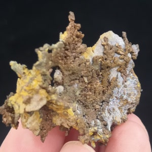 Pu&ograve; includere: Un gruppo di cristalli di rame con un'abitudine di crescita dendritica e ramificata. I cristalli sono una miscela di colori giallo dorato e marrone rossiccio.