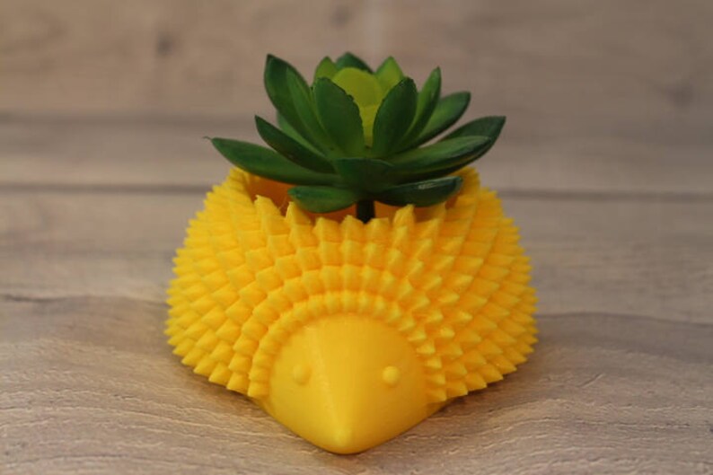 Download Cute Cutest planter Best Christmas Gift Succulent Pot ...