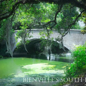 New Orleans Art Print Watercolor Effect;  Pedestrian Bridge Audubon Park Garden District New Orleans