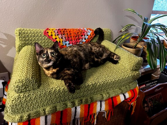 Small pet couch sale