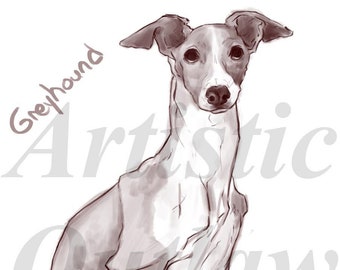 Italian Greyhound