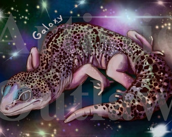 Galaxy Leopard Gecko