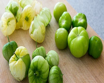 Perfetto Per Salsa colorato! 20 semi di Tomatillo Mix