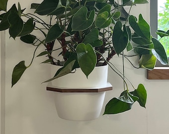 May include: A white hexagonal wall-mounted planter with a green leafy plant inside. The planter is made of ceramic and has a wooden rim.