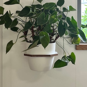 XL Wall mounted planter, Extra Large indoor planter