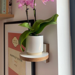 Small & round The little shelf, for plants, ornaments, drinks much more image 1