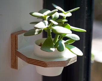 wall mounted indoor plant holder - Small