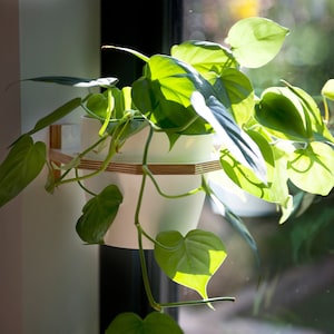 Indoor planters. Large Wall mounted plant shelf