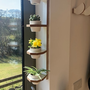 wall mounted indoor vertical small succulent planter. Made from birch plywood. Matches small single planter size.