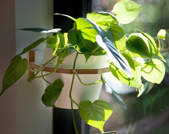 Grote plantenbak voor aan de muur, grote plantenbak voor binnen