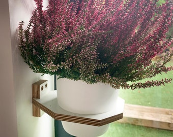Medium Wall mounted indoor planter, Medium sized Birch plywood plant holder