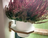 Wall mounted planter, Medium sized window reveal and living wall planter.