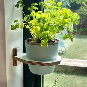 May include: A light blue planter with a green leafy plant growing in it. The planter is mounted on a wooden shelf attached to a white wall.