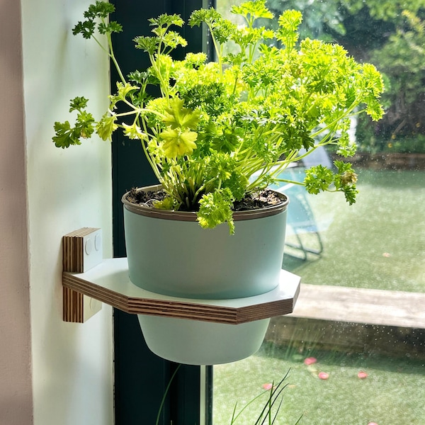 Jardinera de interior de pared, soporte para plantas de madera contrachapada de abedul de tamaño mediano