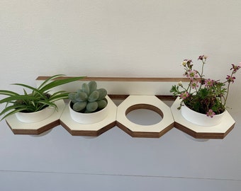 Birch Plywood Wall Planter: Indoor Succulent Display